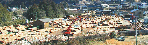 熊野原木市場